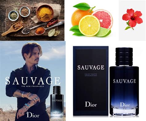 best seller men perfume 2017